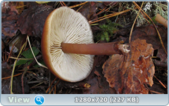 0_f2fb3_9b18eccf_orig.png
