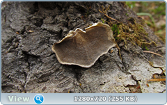 0_f4d80_5690de7c_orig.png
