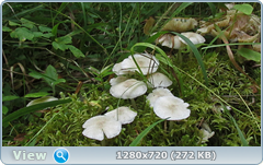 0_fbec7_31e6fd1d_orig.png