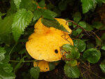 0_c9761_9d141ecd_S.jpg