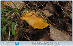0_f501d_c7040768_orig.png