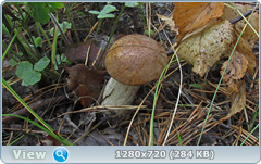 0_fb7ef_55d45600_orig.png