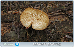0_e781a_1af1a585_orig.png