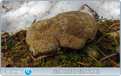 0_10385d_9d3d33ae_orig.png
