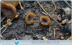 0_1092c6_fe577549_orig.png