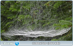 0_e90a1_f06f27d6_orig.png