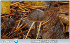 0_f27a6_530b9b6_orig.png