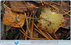 0_f27aa_3d497521_orig.png