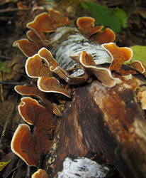 0_bf477_d9d198e3_M.jpg