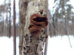 0_d2a88_3102c011_S.jpg