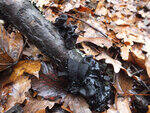 0_cf767_c0e5884a_S.jpg