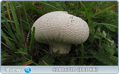 0_fbe99_f44aab2c_orig.png