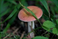 0_1493b6_a9d56806_orig.jpg