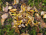0_cc0b7_2d303840_S.jpg