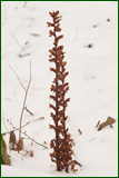 0_10634a_d8259dda_orig.png