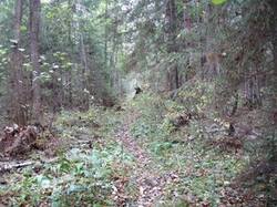 0_86218_4fc5998a_M.jpg