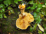 0_c9762_ead77897_S.jpg