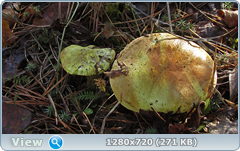 0_f2fee_978293d1_orig.png