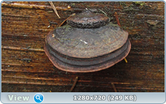 0_f6e60_1d778424_orig.png