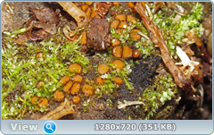 0_fc068_4b08d67f_orig.png