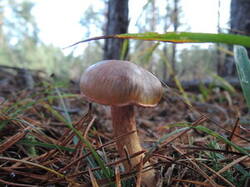0_f124f_f50cdb52_M.jpg
