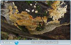 0_f308b_6c72e019_orig.png