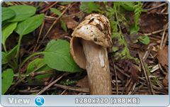 0_10f2f7_ac2a45d4_orig.png