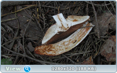 0_112aea_d4d99bc7_orig.png