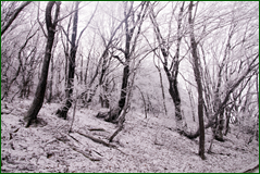 0_106292_469f0b4f_orig.png