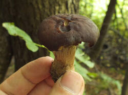 0_c568a_478e0bb6_M.jpg
