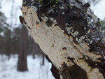 0_d1451_57f0cbb_S.jpg