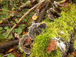 0_cc078_903d0ce7_S.jpg