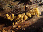 0_ccf47_916ce306_S.jpg