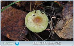 0_f3818_d2190061_orig.png