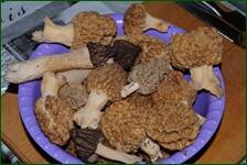 0_f6233_53c9e517_orig.jpg