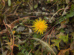 0_ccf1a_433c90d9_S.jpg