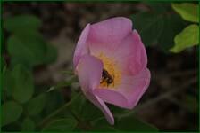0_fc667_68a41c8b_orig.jpg