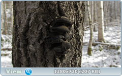 0_115825_981ff803_orig.png