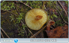 0_f3008_e9f10a20_orig.png