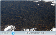 0_122ac0_45019bda_orig.png