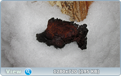 0_fa688_a41bc0c5_orig.png