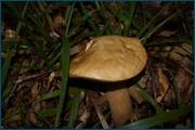 0_d23a4_9bc53cc4_orig.jpg
