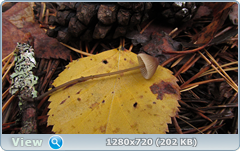 0_f27a0_de6e41e8_orig.png
