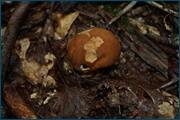 0_d2a02_f26ffd22_orig.jpg