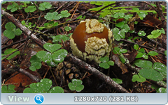 0_eb275_bfcd832_orig.png