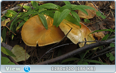 0_ef347_5a196509_orig.png