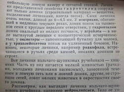 0_99b0a_9d51eea9_M.jpg