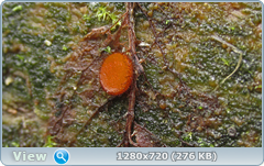 0_e90fe_784bb6ec_orig.png