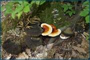 0_d0938_90cdc733_orig.jpg