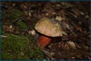 0_d2a6c_e987313b_orig.jpg